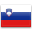 Slovenian Flag